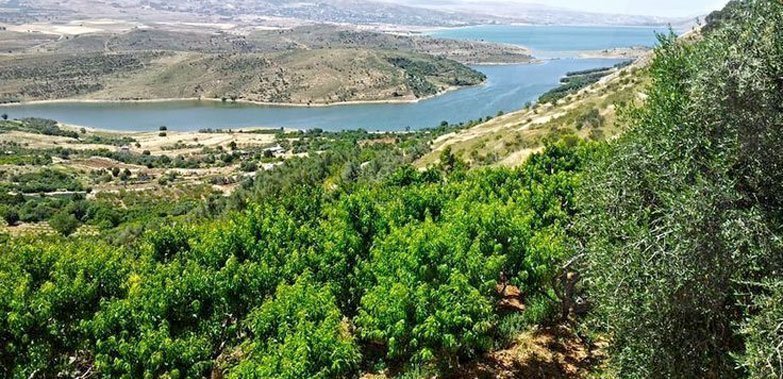 The Bekaa Valley