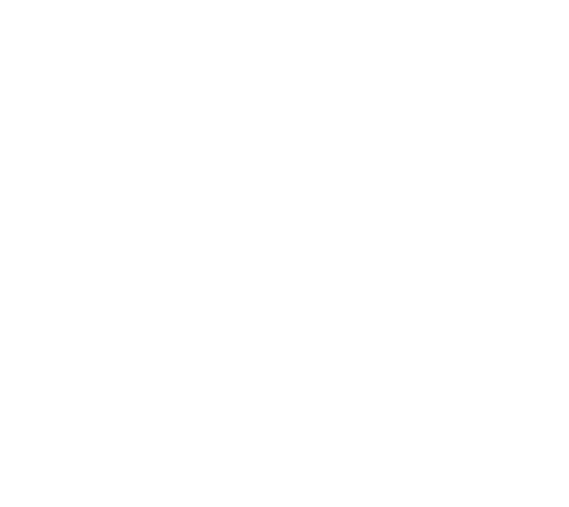 bird logo Artboard 1 copy 2